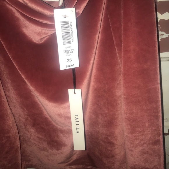 Aritzia Talula pink velvet shirt - Picture 2 of 5